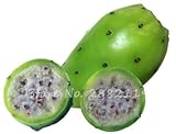 Grande promotion graines d'Opuntia rares figues de barbarie sucrées cactus très nutritifs graines de fruits comestibles jardin de fleurs bonsaï Paquet de 100 graines