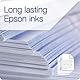 Epson T66424A Inkjet Cartridge