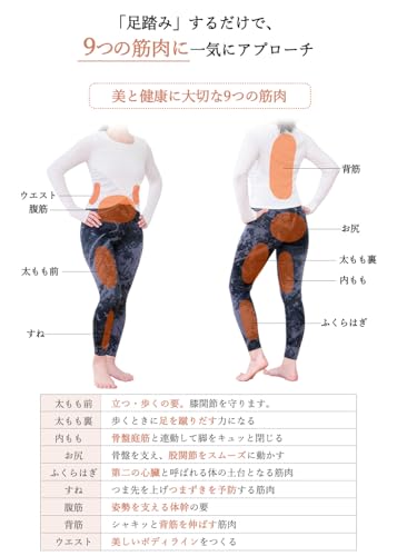 RE ツイスト ステッパー ライト SP-700 の商品画像 5