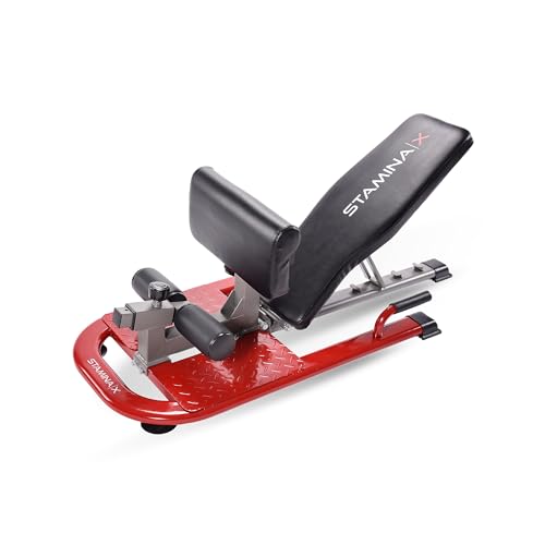 Stamina X 4-in-1 Fitness Bench - Adjustable Weight and Foldable Exercise Bench Roman Chair with Smart Workout App - Up to 250 lbs Weight Capacity