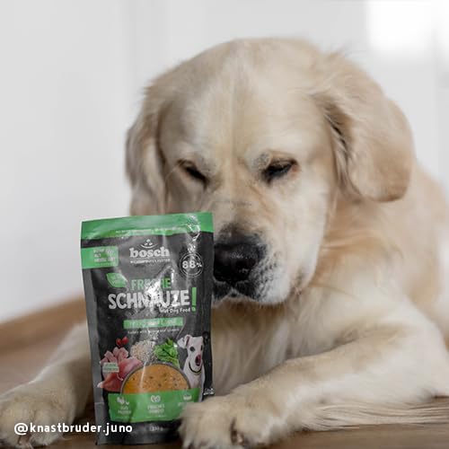 Bosch Freshe Schnauze, Pute mit Quinoa und Spinat 8 x 250 g, Schonend Dampfgegartes Nassfutter für Hunde, Vollwertiges Alleinfuttermittel mit hohem Fleischgehalt, 8 x 250 g Hundenassfutter