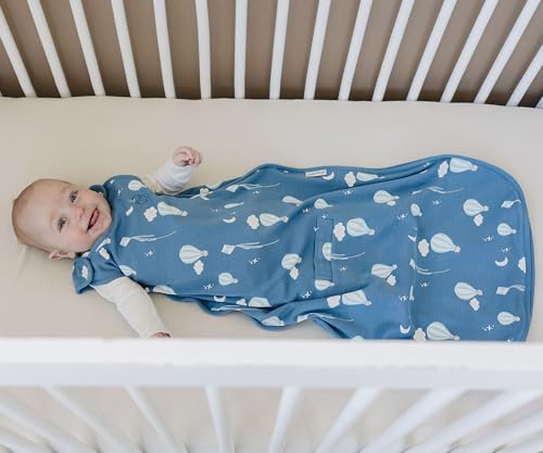 Image of Woolino Toddler Sleeping Bag, 4 Season, Merino Wool and Organic Cotton, Baby Sleep Bag or Sack, 2-4 Years, Hot Air Balloon