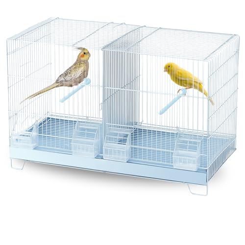 MOLY Cage d'élevage pour oiseaux 58 x 32 x 37 cm | Cage amovible avec base surélevée | Nichoir idéal pour la reproduction et l'élevage de petits oiseaux