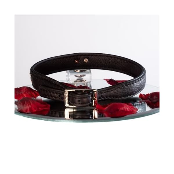 SiaLinda: Halsband echtes Elch Leder mit Strass schwarz 20mm breit – Bild 5
