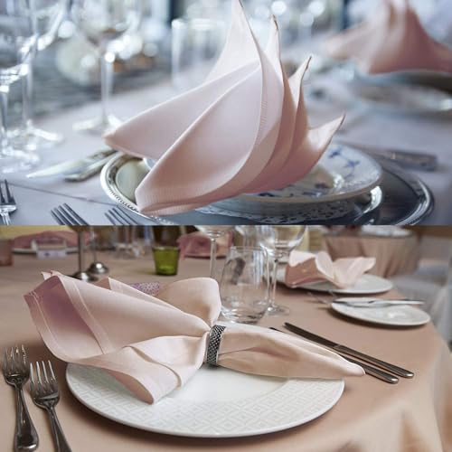 Image of Kitchen Napkin 100% Cotton Aqua Blue - Pack of 12 (10 inchx10 inch Inches) Dinner Napkins with Hemmed Edges,Cloth Napkins for Wedding,Parties,Hotels