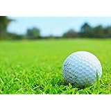 igsticker ポスター ウォールステッカー シール式ステッカー 飾り 515×728㎜ B2 写真 フォト 壁 インテリア おしゃれ 剥がせる wall sticker poster 000255 スポーツ ゴルフ 芝生 スポーツ