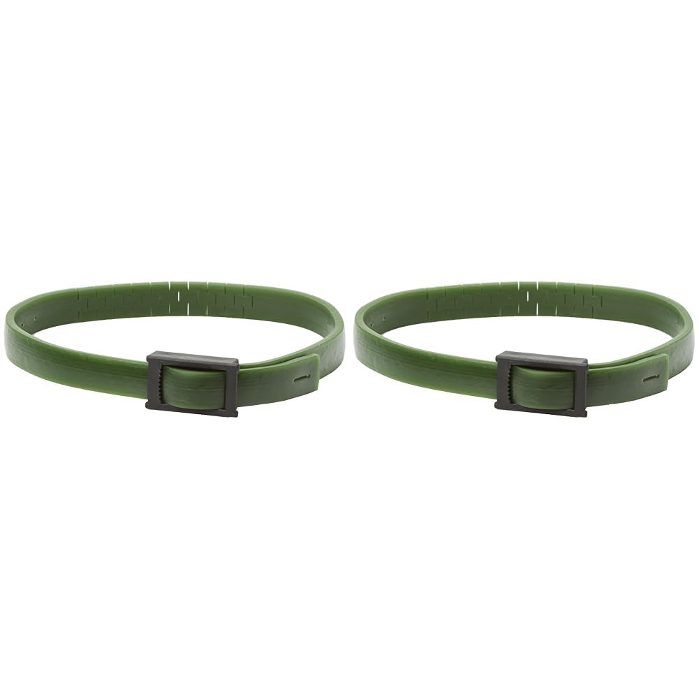 beaphar Zecken- & Flohschutz Halsband Katze | Schutz vor Zecken Flöhen | Wirkt 4 Monate | Katzenhalsband mit Sicherheitsverschluss | Farbe: Grün | Länge: 35cm (Packung mit 2)