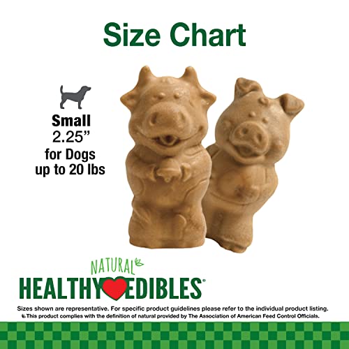 Image of Nylabone Healthy Edibles Natural Puppy Chews Long Lasting Treats for Puppies, Lamb & Apple Flavor, Small /Regular (4 Count) (Pack of 2)