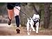 Mayerzon Dog Muzzle, Basket Breathable Silicone Dog Muzzle for Anti-Barking and Anti-Chewing