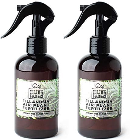 Cute Farms Tillandsia Air Plant Fertilizer | Gentle Weekly Use Formula Plant Food | Formulated Nutrients for Air Plants (8 oz Spray Bottle, 2 Pack)