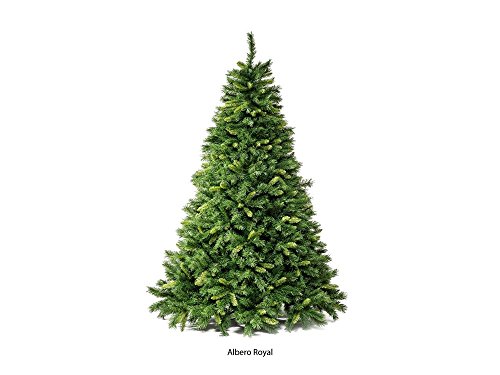 I Migliori Alberi di Natale | Miglioreinrete
