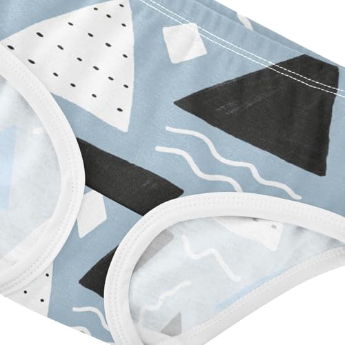 Cotton Panties Underwear Soft Touch Comfort Color for Girls in Sizes 2T,3T, 4T, 5T, 6Y and 8Y4