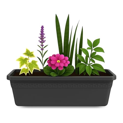 Jardinera de plástico sin plato, Balconera plástico, Macetero Jardín, Fabricado en Polipropileno, Apto balcón, Patio, Interior/Exterior, 60 cm Largo x 16.5 cm Alto x 18 cm Fondo, Antracita