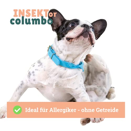 BeG Buddy Insekten Hundefutter, getreidefrei & hypoallergen Insektenfutter Hund - 30% Insektenprotein, Trockenfutter Insekt, Allergie, 750 g
