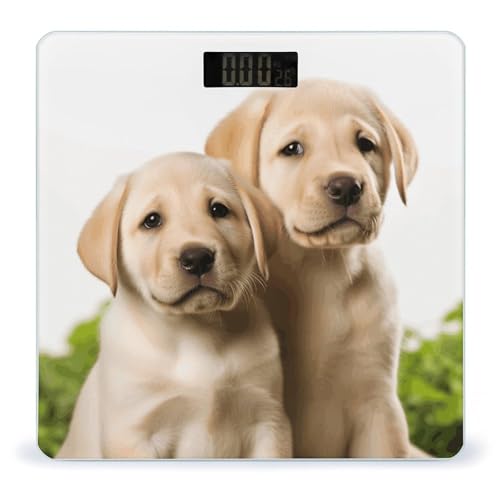 Báscula digital para baño con diseño de cachorro labrador miniatura 1