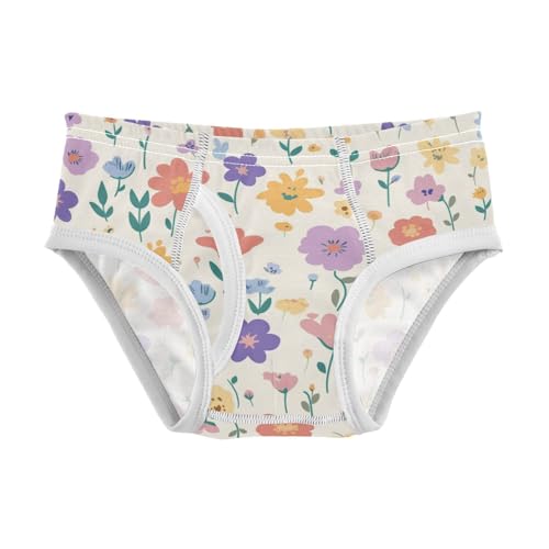 KLL Allover Graphic Floral Boys Toddler Cotton Underwear Briefs Cute Undies