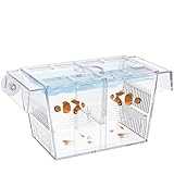Pawfly Caja de Cría de Peces de Acuario Acrílico Incubadora Tanque con Ventosas Caja de Aislamiento Mediana para Peces Bebé Camarón Betta y Guppy