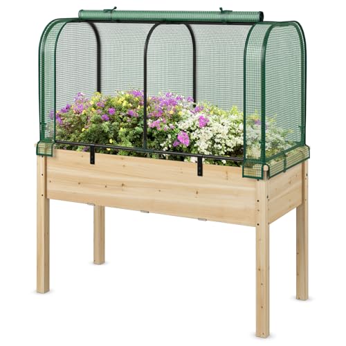 Happygrill Raised Garden Bed with Greenhouse Cover, Raised Bed with Legs & Drainage Holes for Herbs, Vegetables, Outdoor Wood Elevated Planter Box for Patio, Backyard, Balcony (Green+Natural)