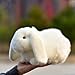 LIUHONGFEI Simulated White Rabbit Plush Toy Realistic Rabbit Doll Children's Day Gift Gift