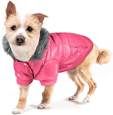 dog coats for winter small