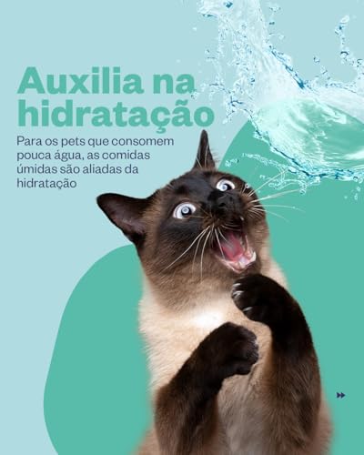 Petisco cremoso Truly Camarão e Bacalhau Pote 30 tubos de 14g