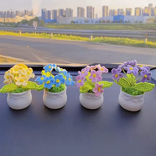 Mini Crochet Plantes en Pot - Idée Cadeau Mignon et Original