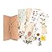 Set di Adesivi Vintage per Scrapbooking,Kit di Scrapbooking Accessori di Piante Floreali,Stickers Scrapbook per Bullet Journal Calendari Album Diario
