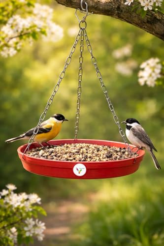 Image of Hanging Bird Feeder and Bird Bath Set, 2 Pack, White and Red, with Metal Chain Hook