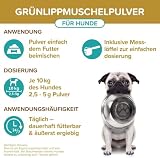 Grünlippmuschel Hund TESTSIEGER - 500g natürliches Grünlippmuschelpulver für Hunde - Unterstützung der Gelenkfunktion - Grünlippmuschel für Hunde mit Hoher Akzeptanz - Grünlippmuschelpulver Hund