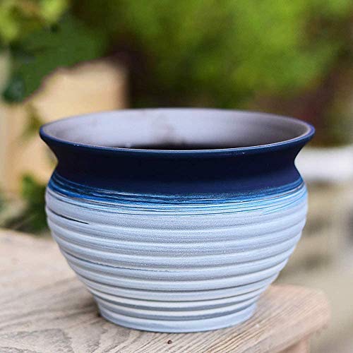 Pots de jardinières succulentes en céramique avec trou de drainage pour cactus