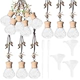 GTWYGT 6 Pack Leak-Proof Hanging Car Diffuser - 8ml Refillable Empty Bottles with Wood Caps, 3 Funnels & 2 Droppers - Essential Oil Air Freshener for Car, Home or Office (6, Seashell)