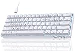 Dierya DK61se Mechanical Gaming Keyboard,60 percent Blue Switches,Ice Blue LED Backlit,Detachable USB-C Cable,Full-Key Rollover for Computer/PC/Laptop/MAC,US Layout White