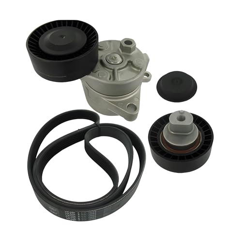 SKF VKMA 38202 Kit de Courroie Multi-V pour l'alternateur de berline