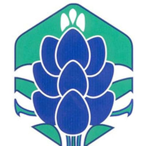 Helen Farabee Centers