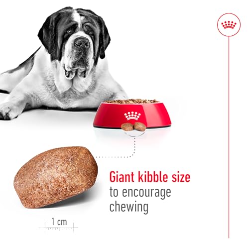 Royal Canin 35245 Giant Adult 4 kg - Hundefutter