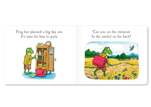 Frog's Day Out: A Lift-the-flap Story (Tales From Acorn Wood, 10)