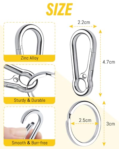 Caianwin 4 Stück Karabiner Schlüsselanhänger Metall Karabinerhaken Klein Schlüsselkarabiner für Schlüssel, Rucksäcke und Charms