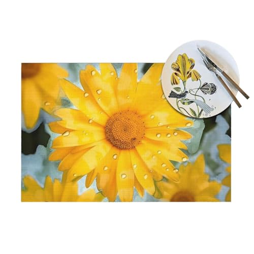 Set de table antidérapant lavable résistant chaleur PVC tissé marguerite - 7