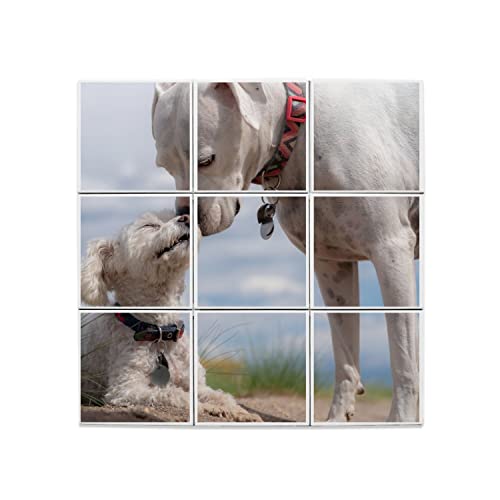 Carreaux céramique décoratif chien lot de 9 faïence murale motif Caniche et Dogue Argentin