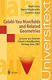 Calabi-Yau Manifolds and Related Geometries