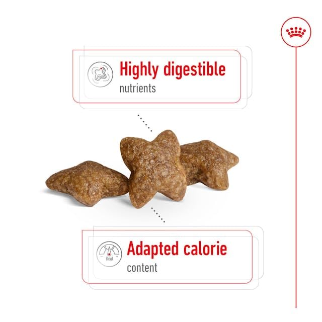 Royal Canin Mini Adult | 2 kg | Alleinfuttermittel für Hunde Kleiner Rassen | Omega -3 Fettsäuren für Haut und Fell | Abgestimmter Energiegehalt und angepasste Krokettengröße