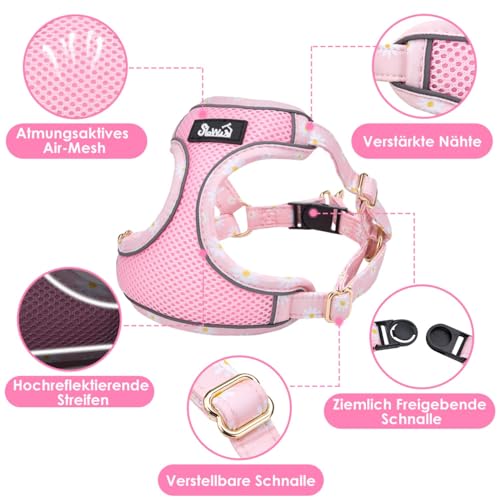 Eyein Hundegeschirr Kleine Hunde mit Leine, Atmungsaktiv Air Mesh Brustgeschirrmit reflektierenden Streifen, Verstellbarer Step-in Geschirr für extra kleine/kleine mittelgroße Hunde (Rosa, XXS)