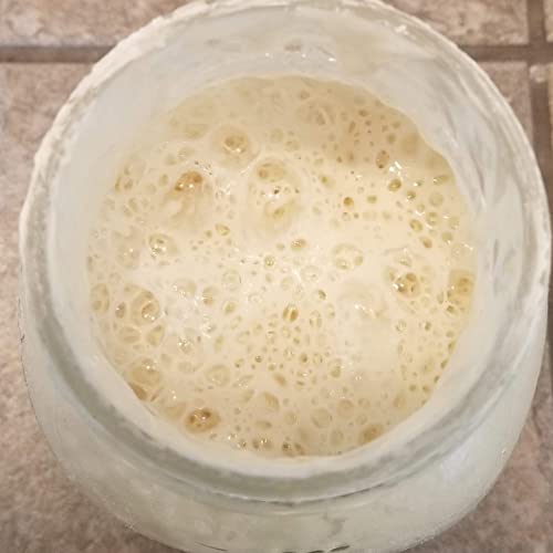Wild Wheat Sourdough Starter - Dehydrated, Dried Sourdough Starter for Baking Bread- Sour Dough Starter-Sourdough Bread Starter- Best Customer Service, Contact for any Questions