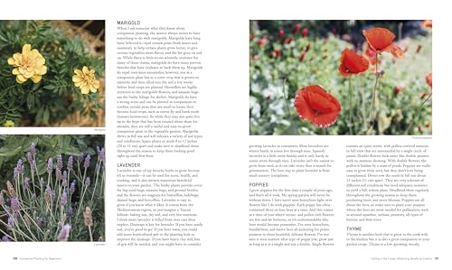 Companion Planting for Beginners: Pair Your Plants for a Bountiful, Chemical-Free Vegetable Garden - Image 7