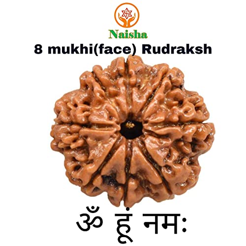 NAISHA 8 Mukhi Rudraksha Bead Necklace, 100% Certified & Original Eight-Faced Rudraksha Seed for Pooja/Prayer/Meditation3