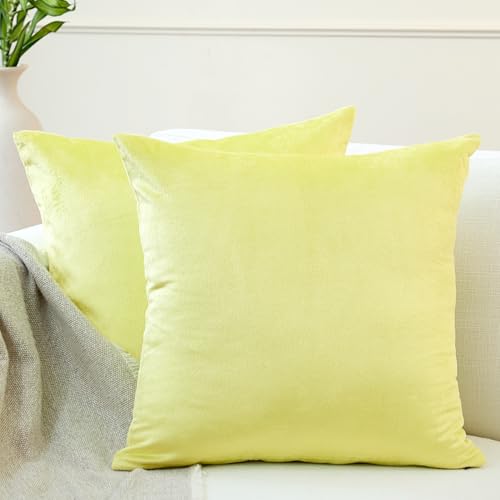 Image of Encasa XO Velvet Throw Pillow Covers 20x20 in (50x50 cm) - Pale Lime - No Inserts, Pack of 2 Cases | Solid Plain Dyed Soft & Smooth, Square Decorative Cushion Covers for Living & Bedroom