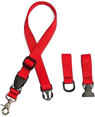 the buddy system leash