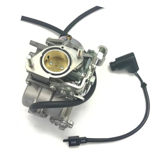 Carburateur moto 260CC Lh260CC YP250 Te250cc pièce moteur pour quad ATV UTV