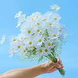 maifey 12PCS Kunstblumen Seiden Gänseblümchen, 19.7in Weiß Langer Stiel Realistische Fake Blumen, für Hochzeit Partei TischaufsäTze Blumenarrangement Home Küche Decor, Erleuchte Die Ecken des Lebens