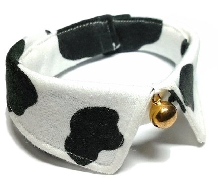 Lp zX^C ݂J[ t nhCh (SF17`21cm)